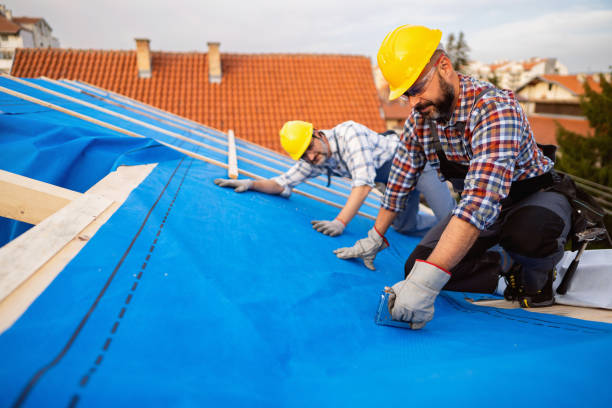 Best Roof Gutter Cleaning  in Holloman Af, NM
